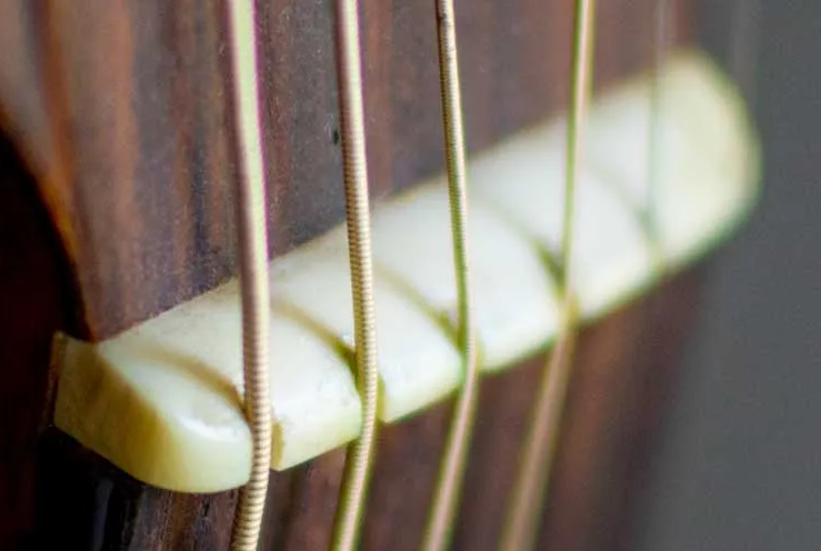 a macro photo of guitar strings